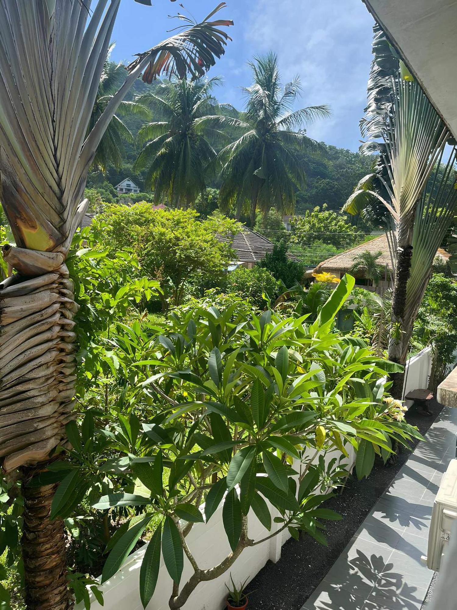 Tropical Palm Koh Samui